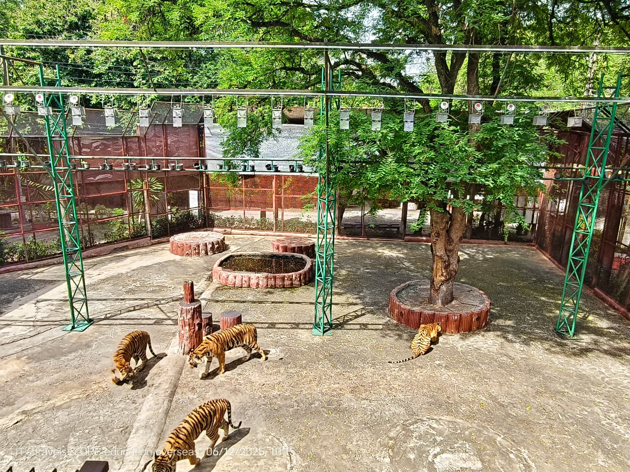 IMG-20250612-WA0102